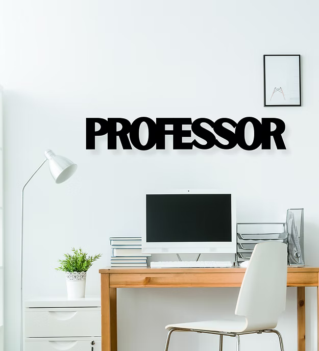 Professor