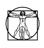 The Vitruvian Man Leonardo Da Vinci