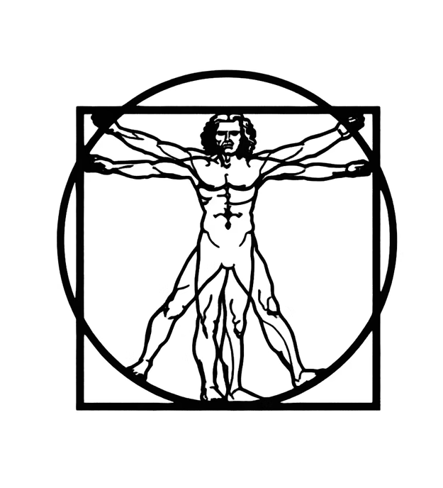 The Vitruvian Man Leonardo Da Vinci