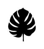 Tropical Leaf