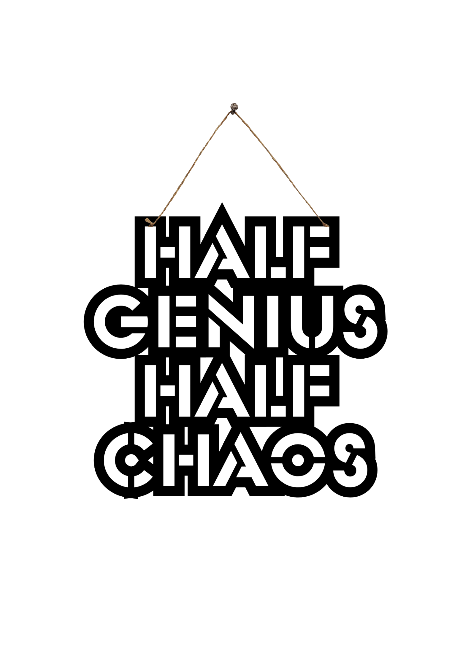 Half Genius Half Chaos Metal Hanging