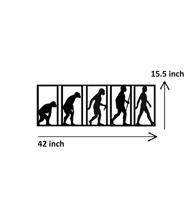 Theory of Evolution