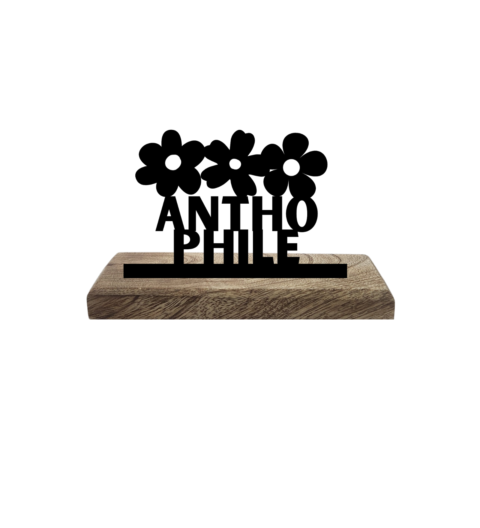 Anthophile Set of 2 Table Décor