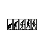Theory of Evolution