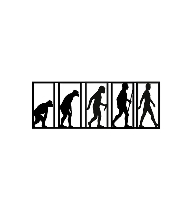 Theory of Evolution