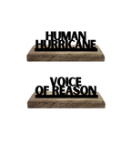 Hurricane vs Reason