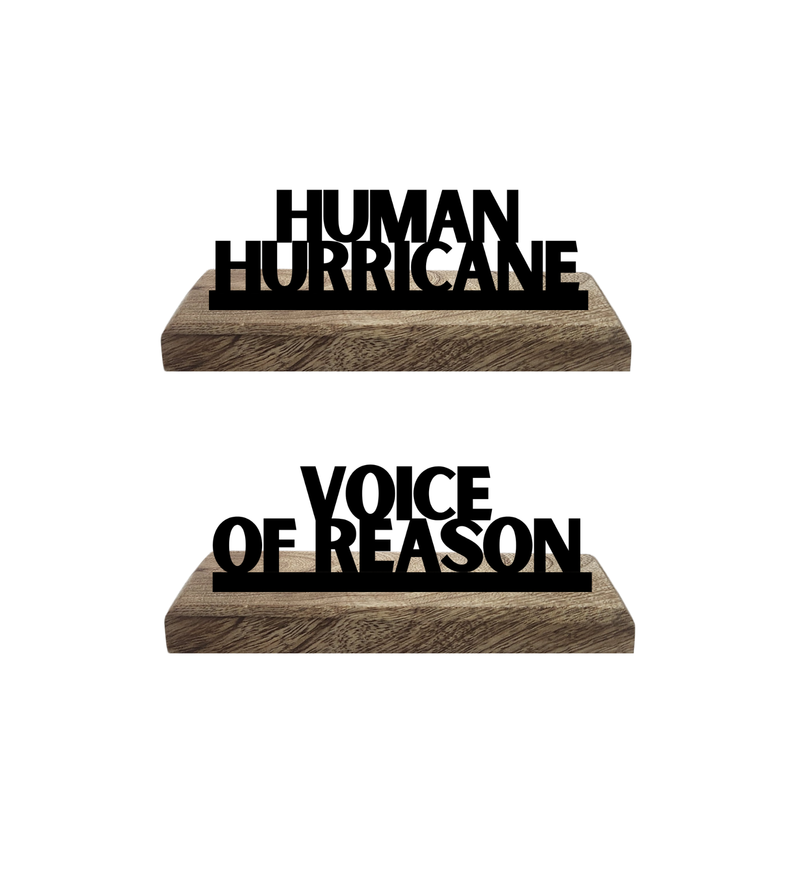 Hurricane vs Reason