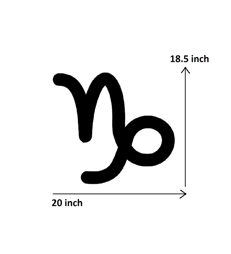 Capricorn Zodiac Sign