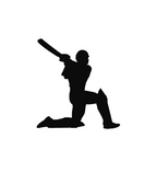 Cricket Batsman