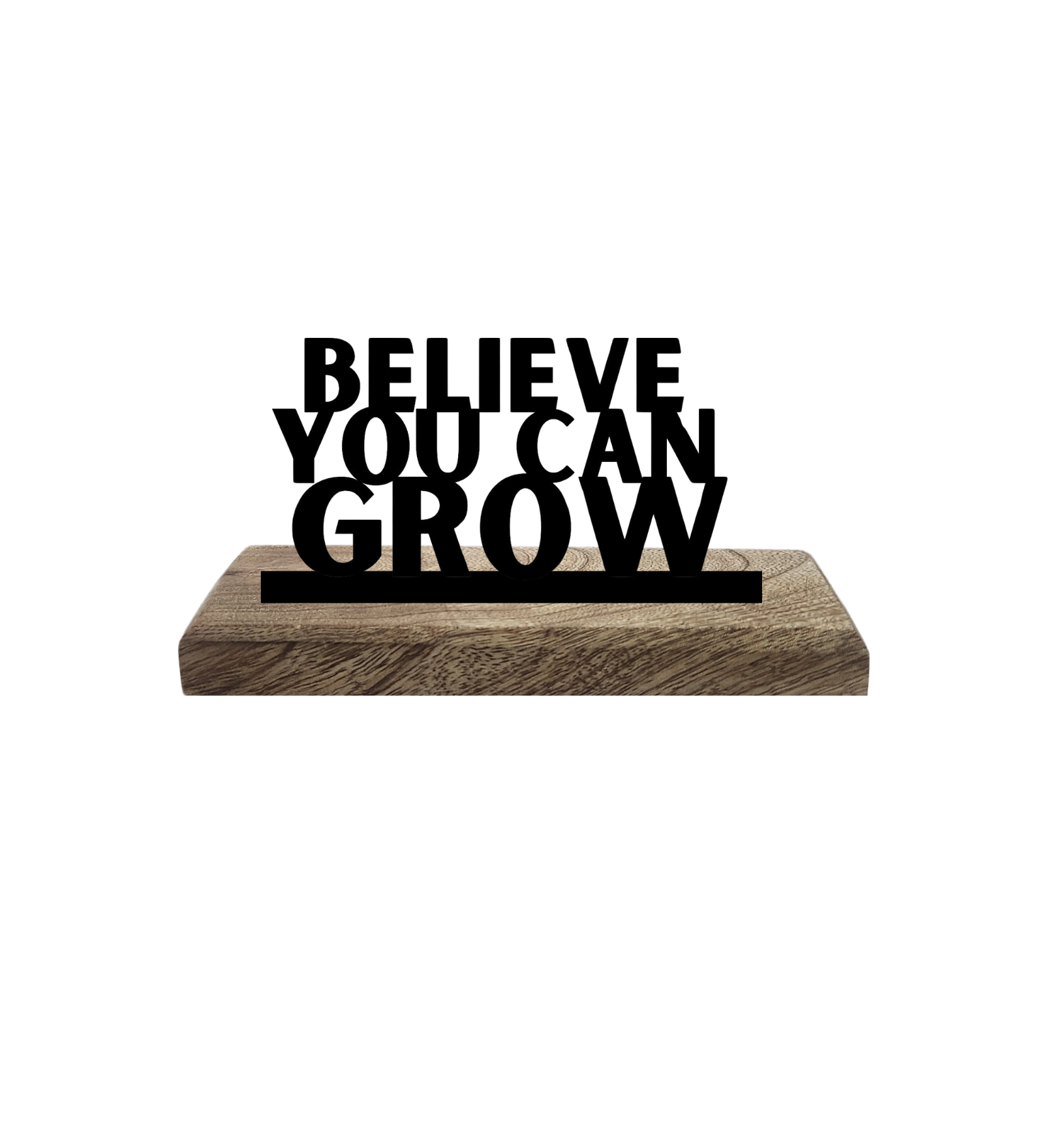 Believe and Evolve Set of 2 Table Décor