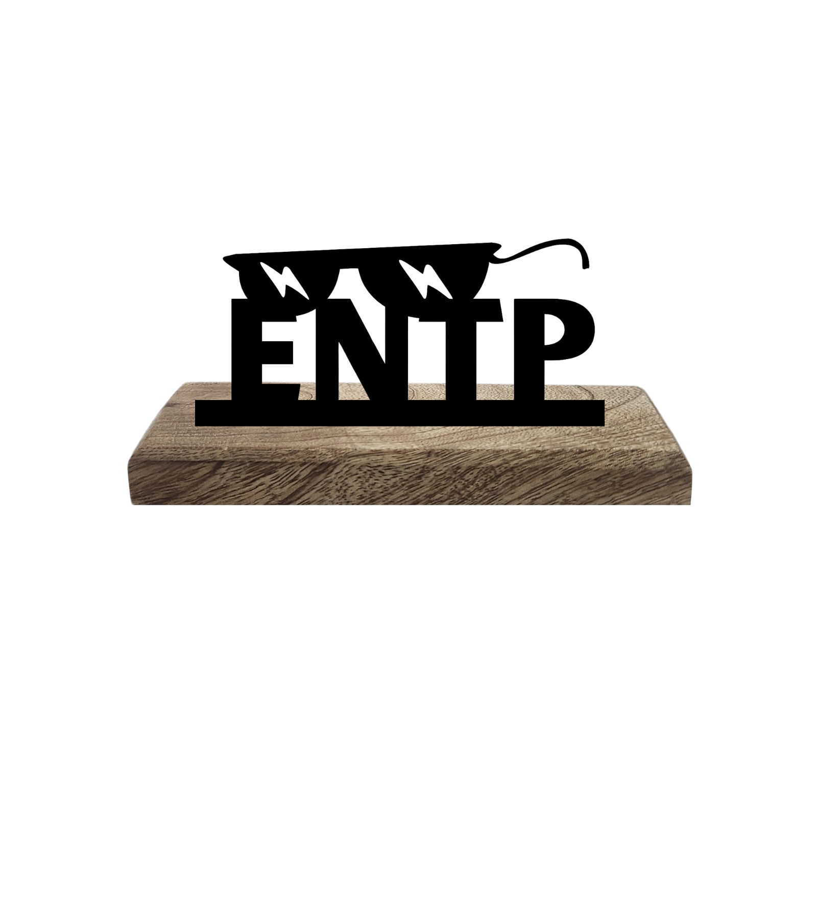 ENTP Myers Briggs Set of 2 Table Décor