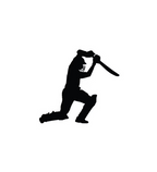 Cricket Batsman Drive