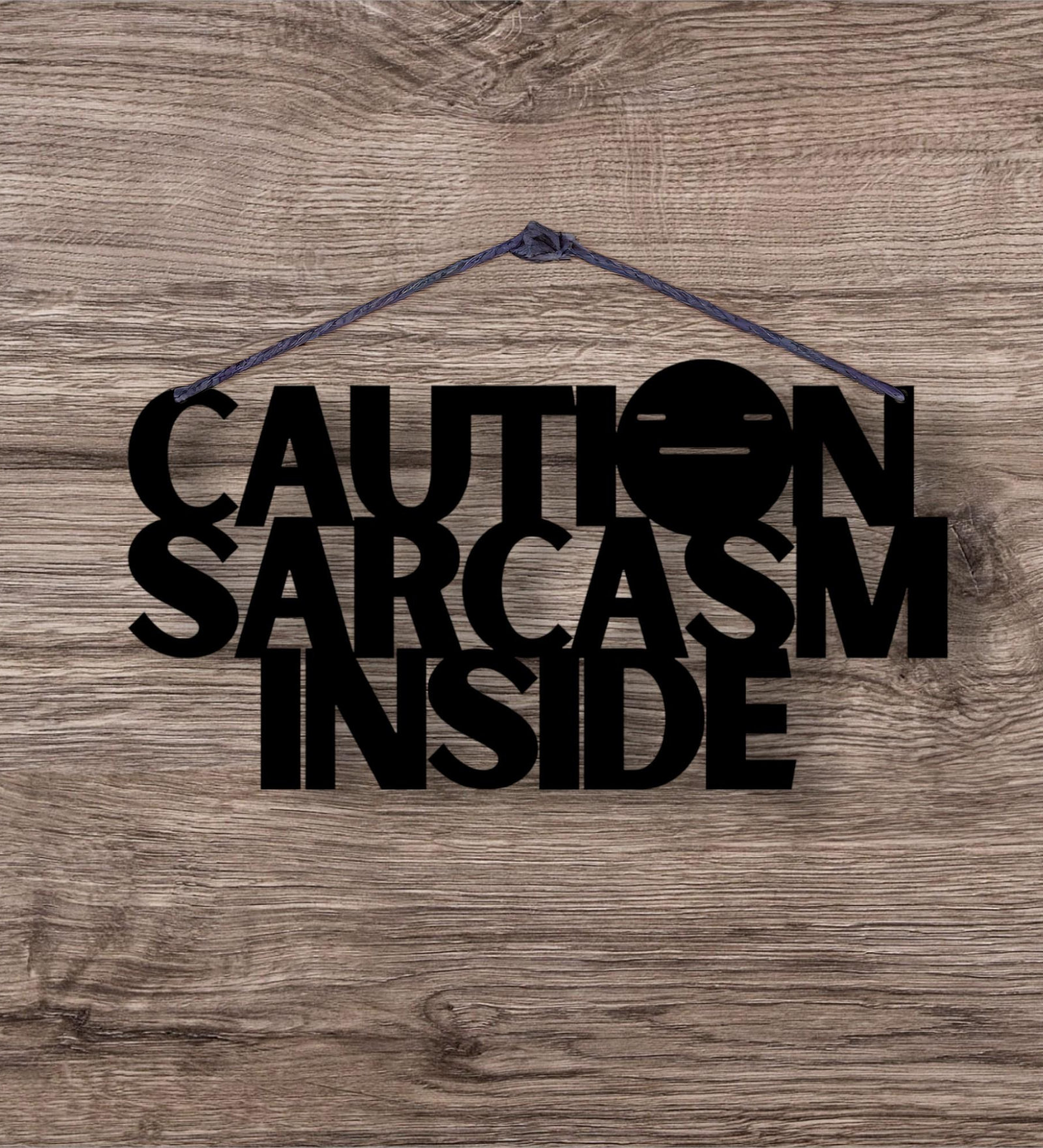 Caution Sarcasm Inside Metal Hanging