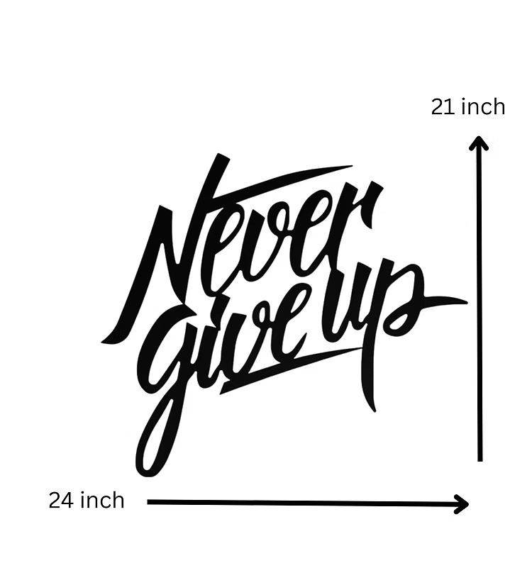 Never Give Up