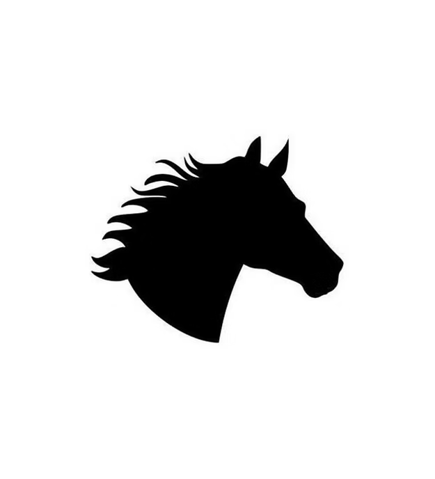 Horse Bust