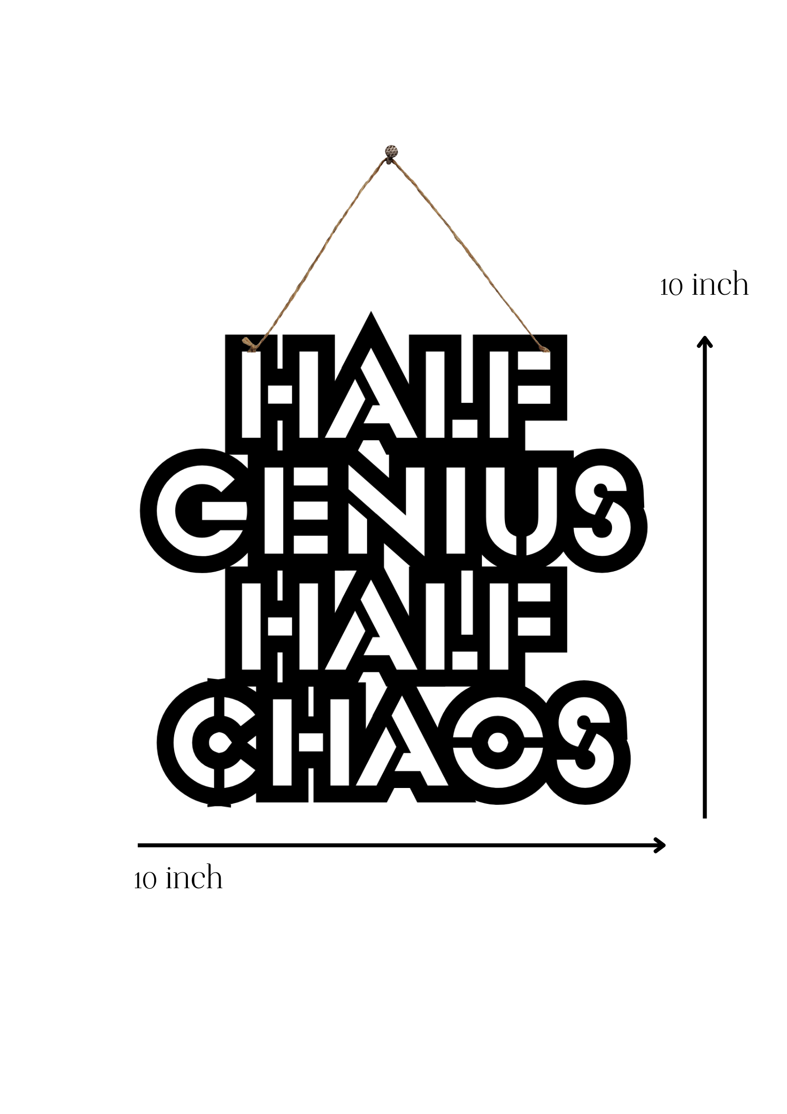 Half Genius Half Chaos Metal Hanging
