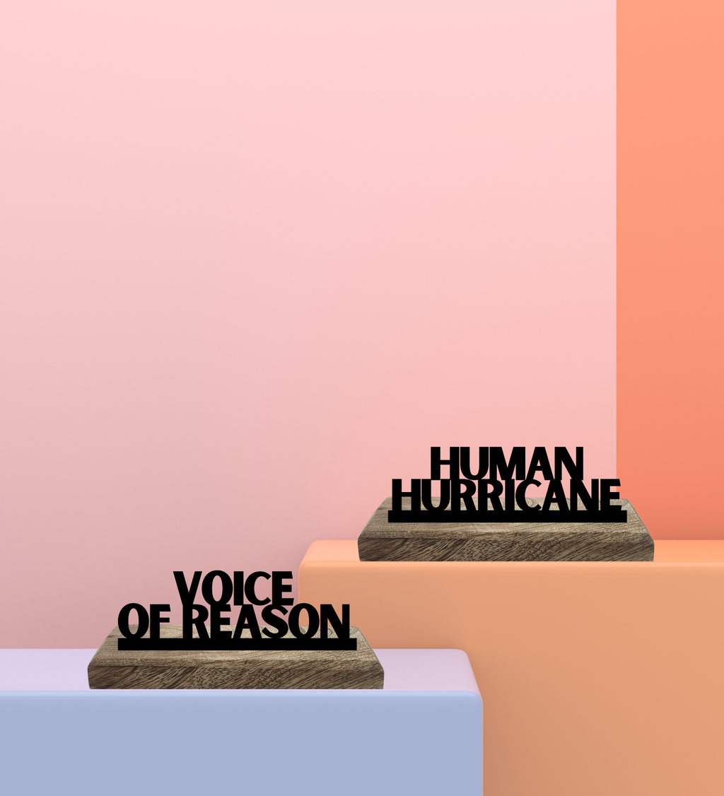 Hurricane vs Reason