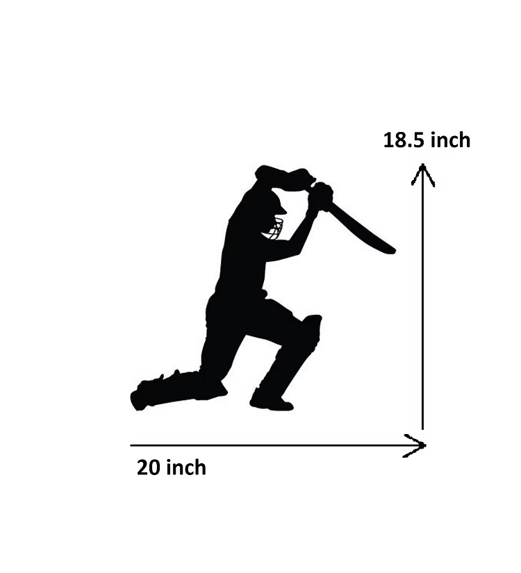 Cricket Batsman Drive