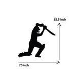 Cricket Batsman Drive