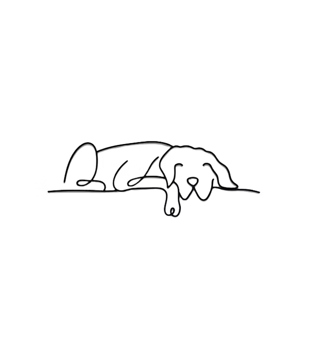Sleepy Dog
