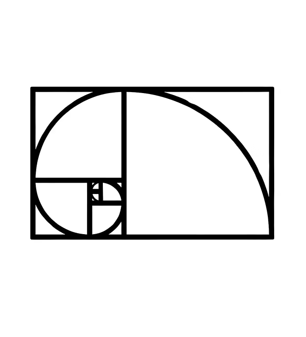 The Golden Spiral