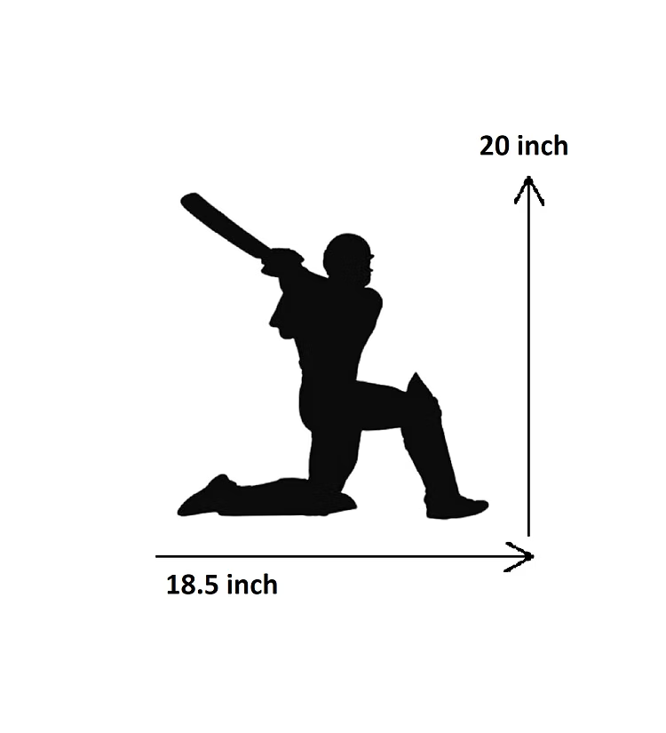 Cricket Batsman