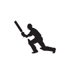 Cricket Batsman Running