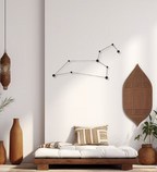 Leo Constellation