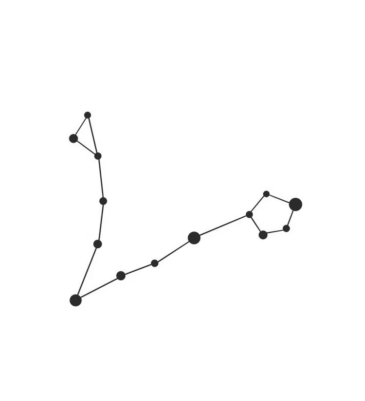 Pisces Constellation